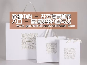 项目名称十一
