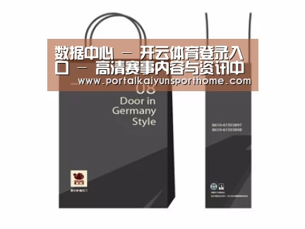 项目名称十四