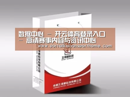 项目名称十三