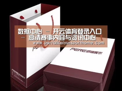 项目名称十二