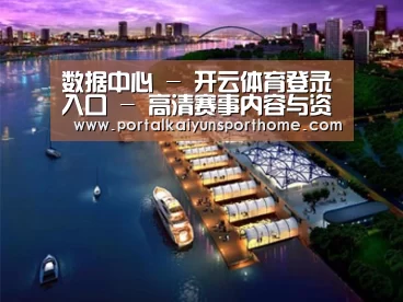 案例展示八