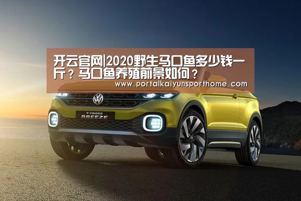 开云官网