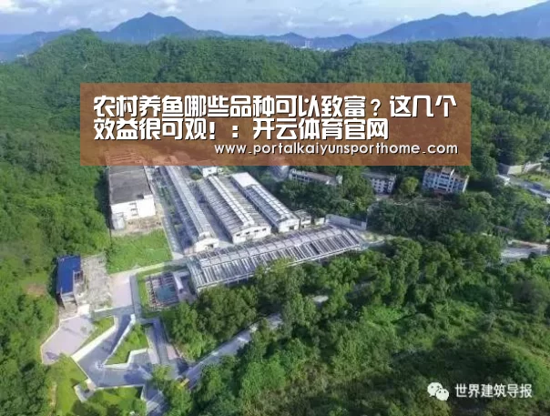 农村养鱼哪些品种可以致富?这几个效益很可观!:开云体育官网(图1) 开云官网