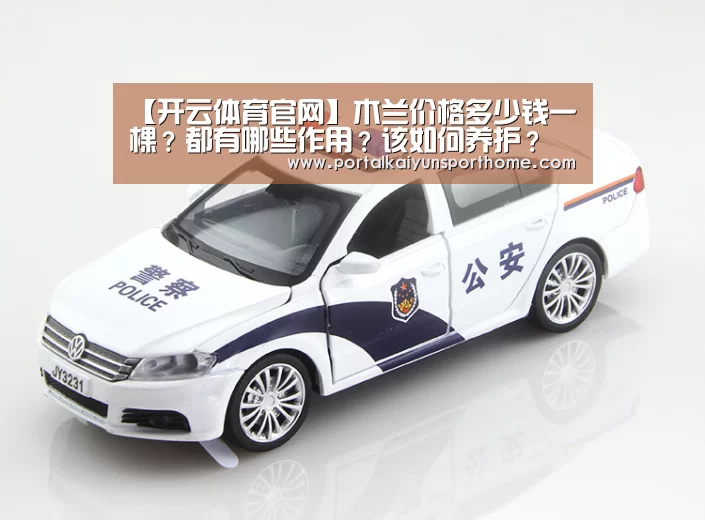 【开云体育官网】木兰价格多少钱一棵？都有哪些作用？该如何养护？(图1)
