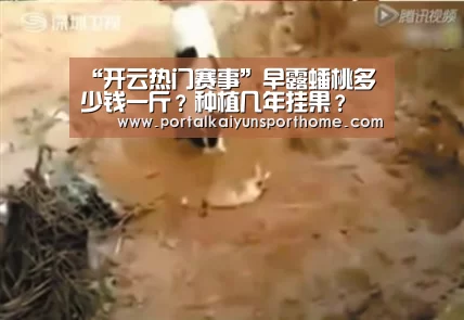 “开云热门赛事”早露蟠桃多少钱一斤?种植几年挂果?(图1) “开云热门赛事”早露蟠桃多少钱一斤?种植几年挂果?(图1)