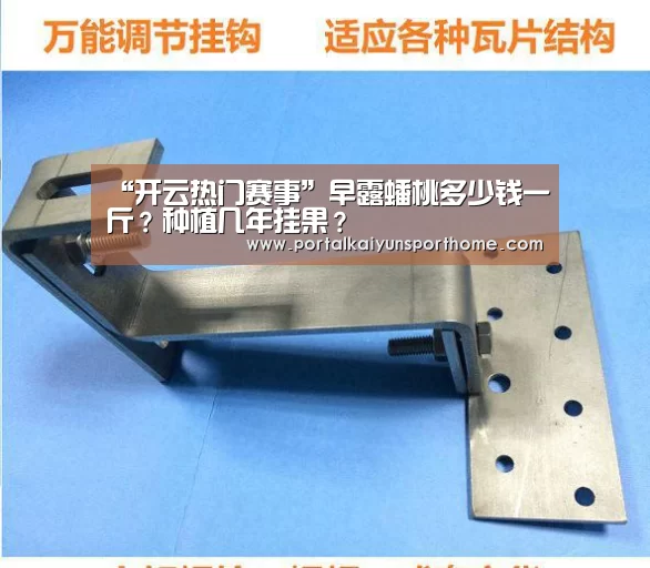 “开云热门赛事”早露蟠桃多少钱一斤?种植几年挂果?(图2) 开云官网