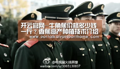 开云官网-牛角蕉价格多少钱一斤?香蕉高产种植技术介绍(图1) 开云热门赛事
