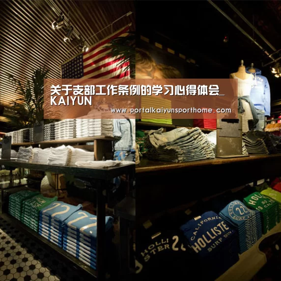 关于支部工作条例的学习心得体会_KAIYUN(图2)