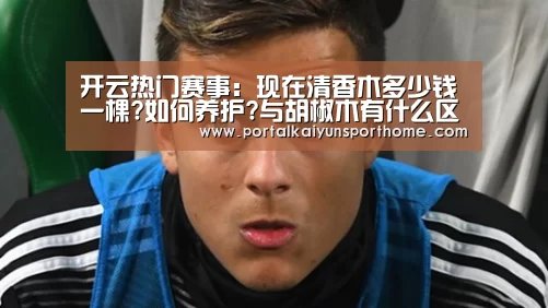 开云体育官网